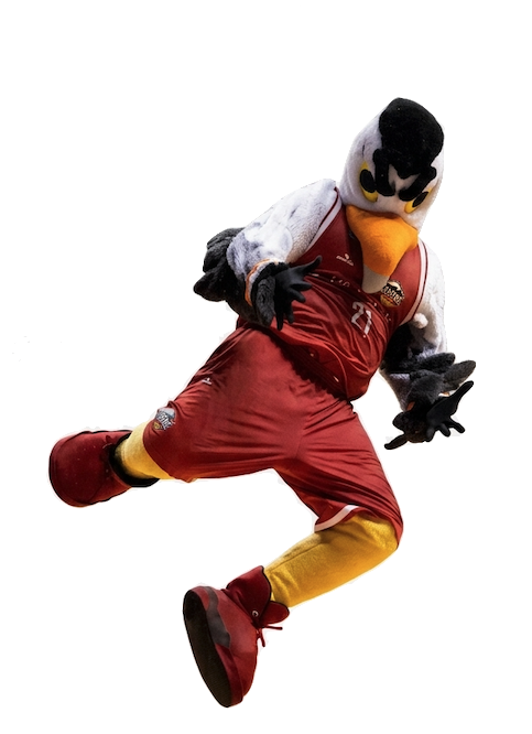 Associação de Basquete Cearense